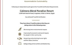 Calimera Blend Paradise